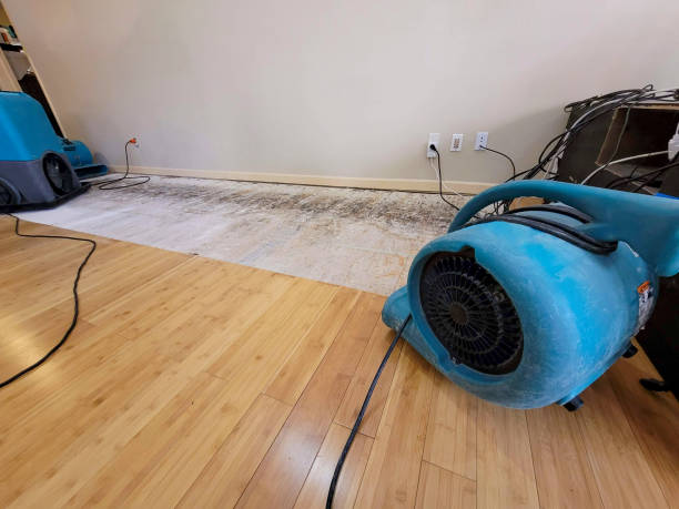 Professional Water Damage Repair technician working in Oak Ridge, NJ
